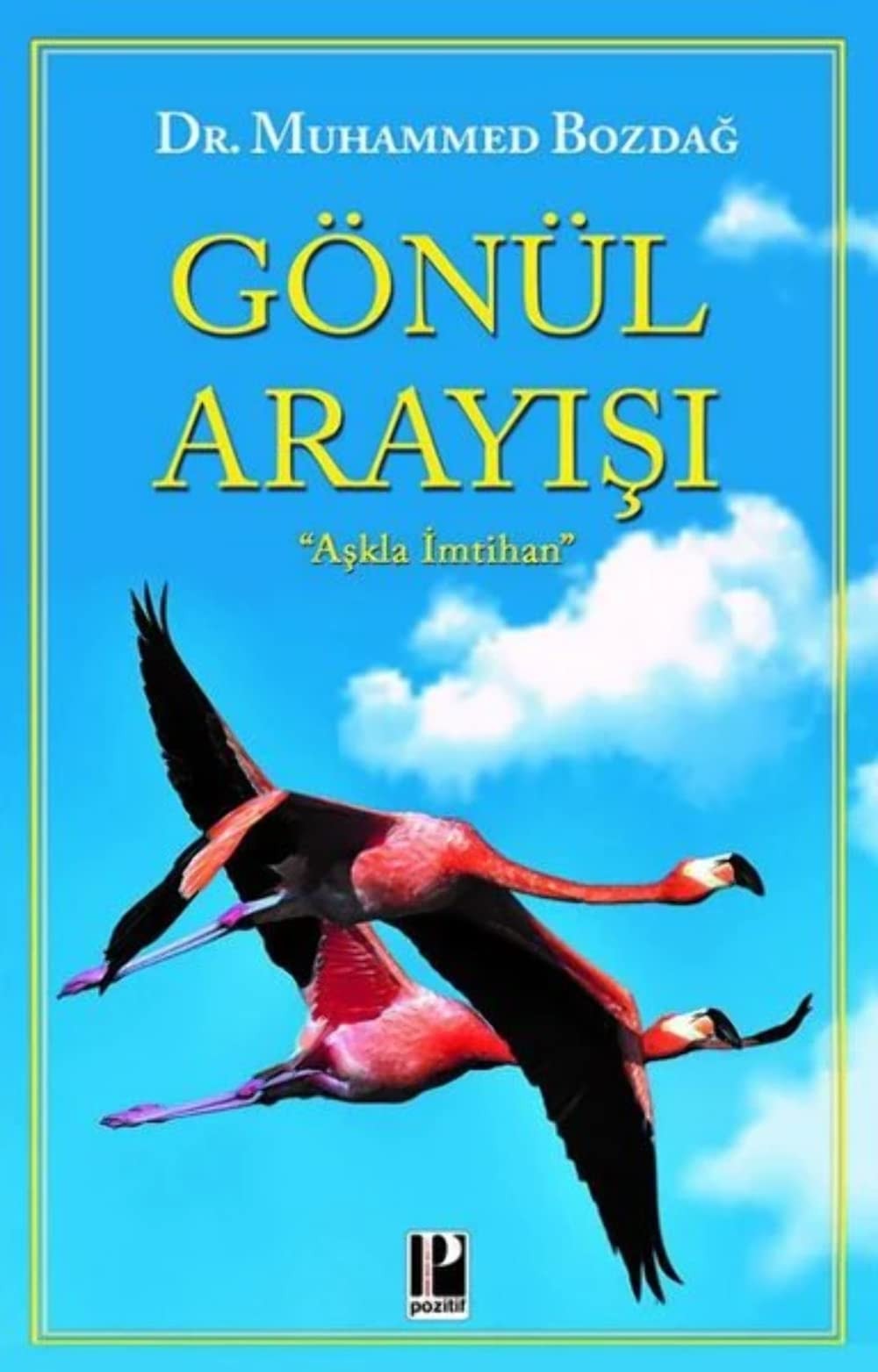Gönül Arayisi