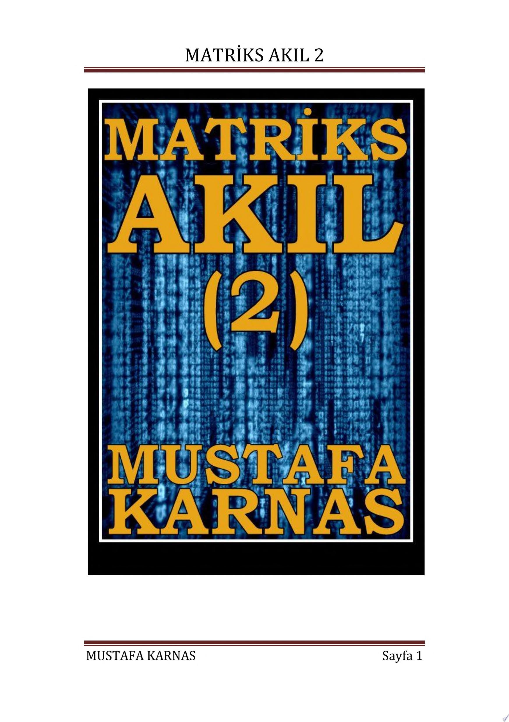 MATRİKS AKIL (2)