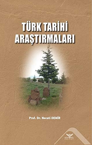 Türk tarihi araştırmaları