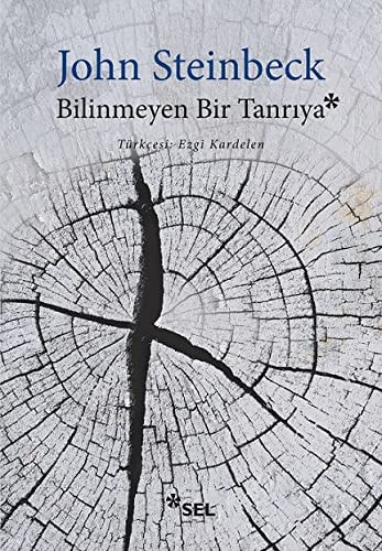 Bilinmeyen Bir Tanriya