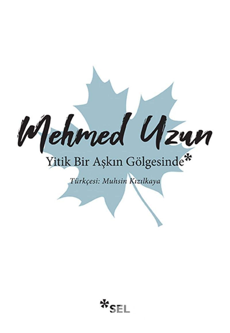 Yitik Bir Aşkın Gölgesinde Roman