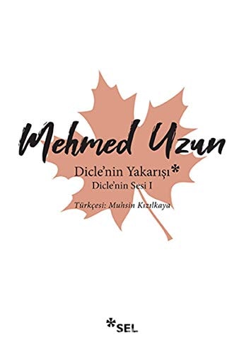 Dicle'nin Yakarışı Dicle'nin Sesi 1 : roman