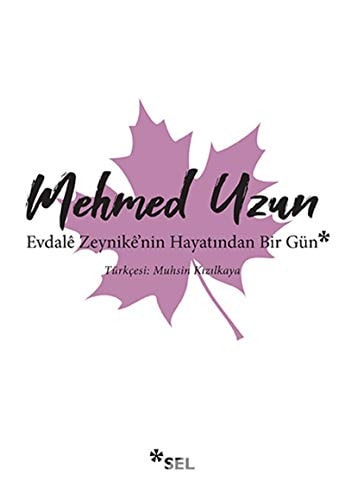 Evdale Zeynike'nin Hayatından Bir Gün roman