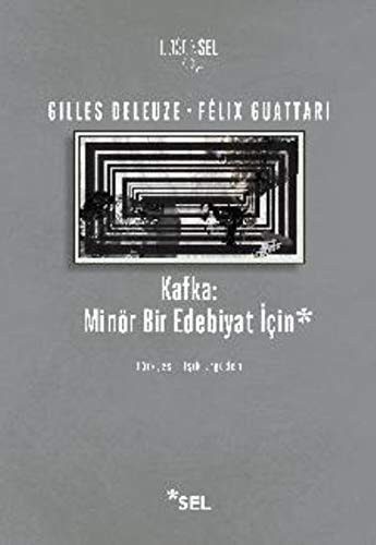 Kafka Minör bir edebiyat için; deneme