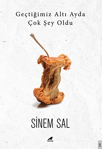 Gectigimiz Alti Ayda Cok Sey Oldu