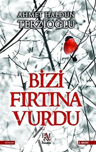 Bizi fırtına vurdu