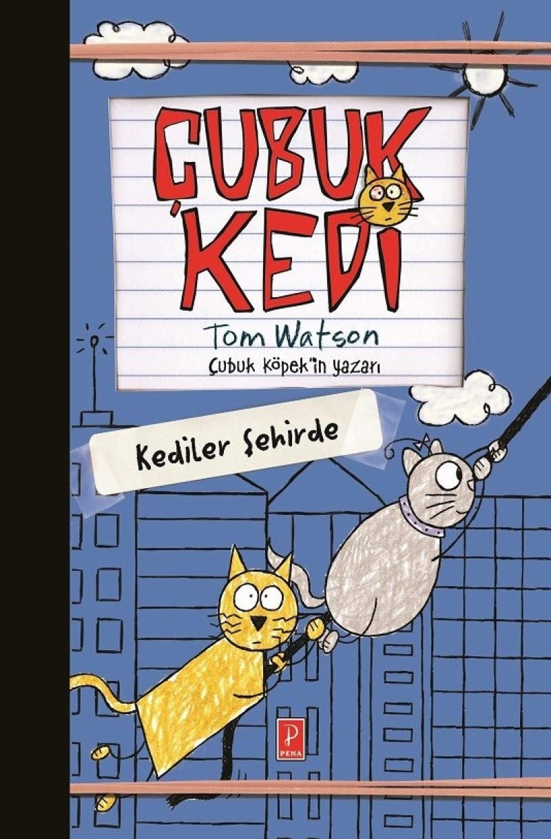 Cubuk Kedi - Kediler Sehirde