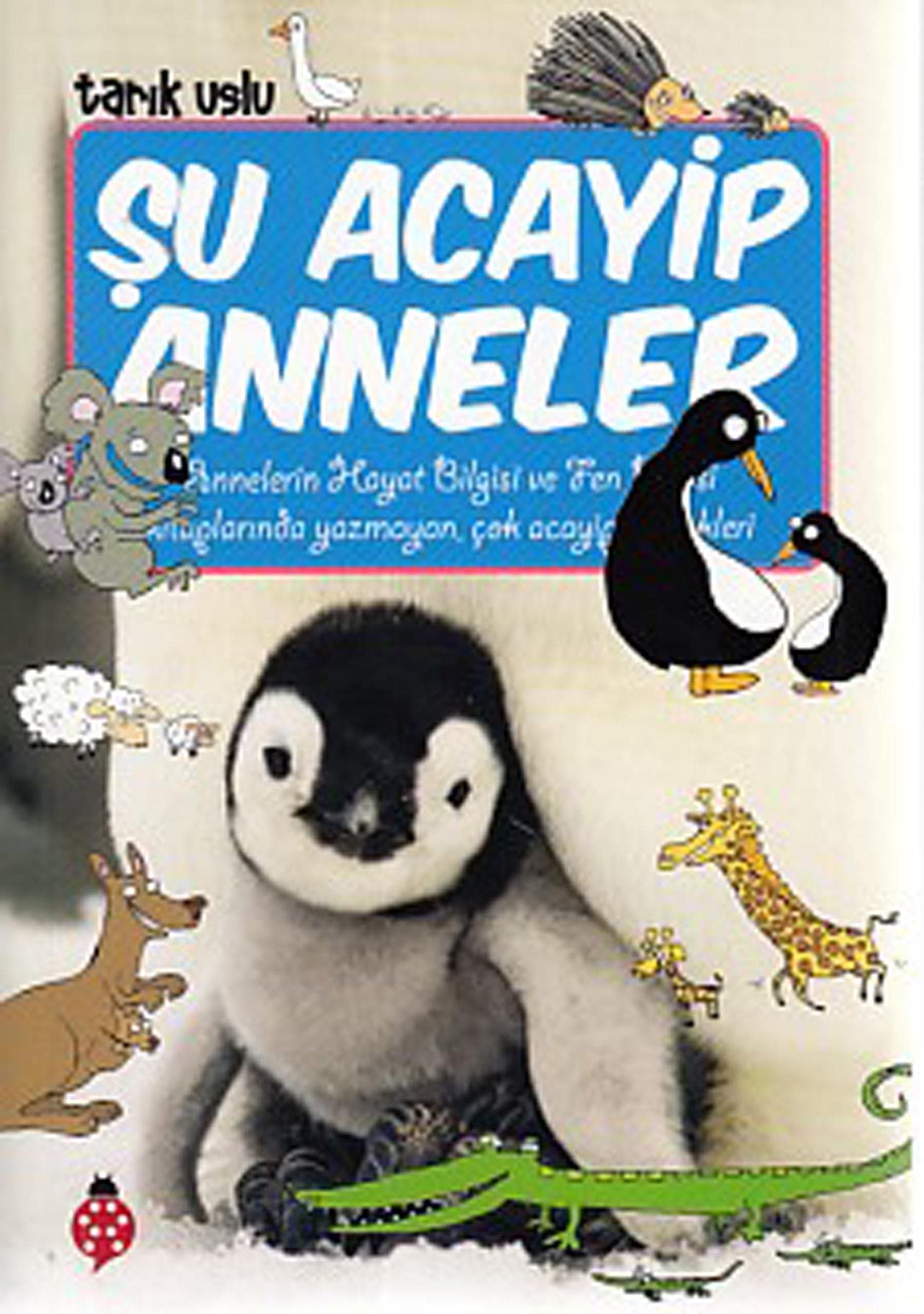 Su Acayip Anneler