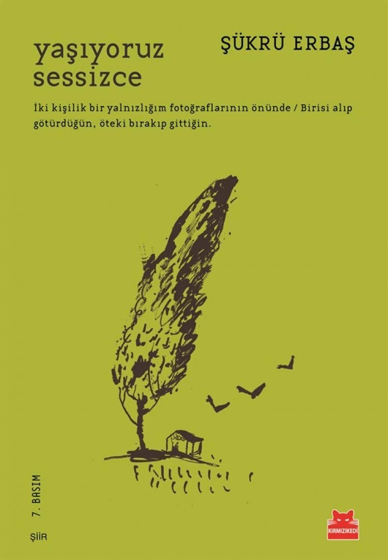 Yaşıyoruz sessizce şiir
