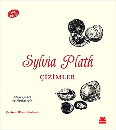 Cizimler Mektuplari ve Notlariyla