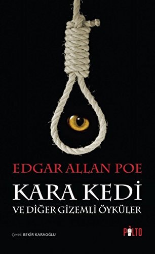 Kara Kedi ve Diger Gizemli Oykuler