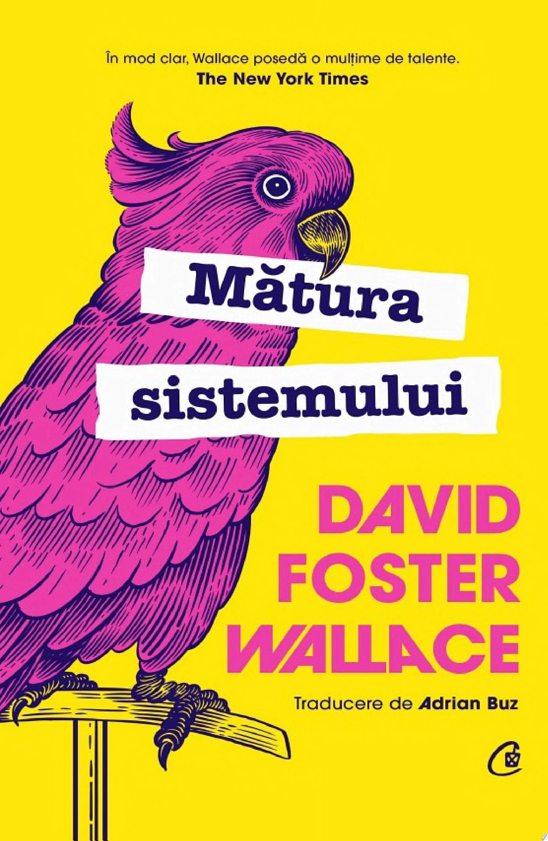 Mătura sistemului