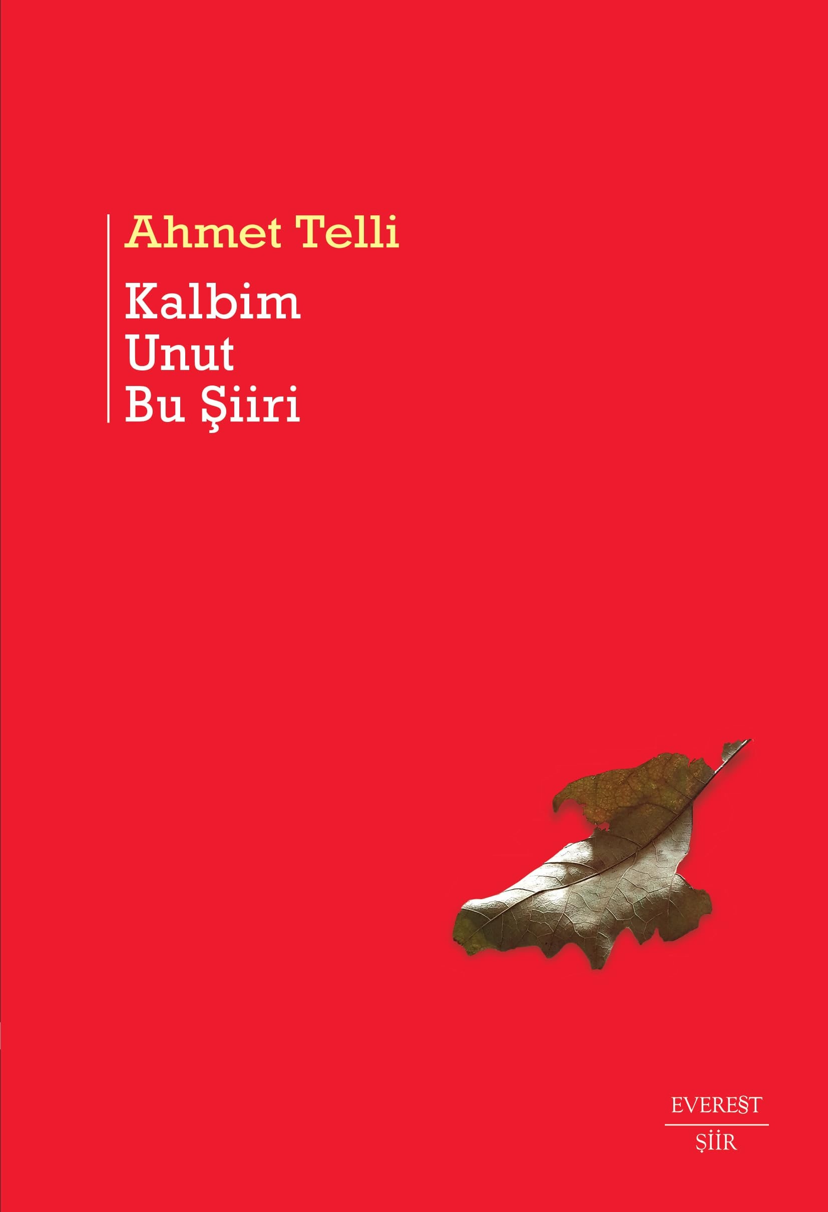 Kalbim Unut Bu Siiri