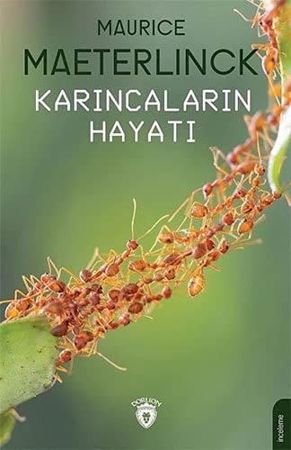 Karincalarin Hayati