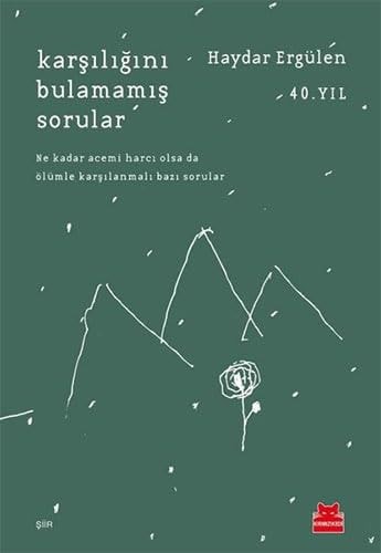 Karsiligini Bulamamis Sorular
