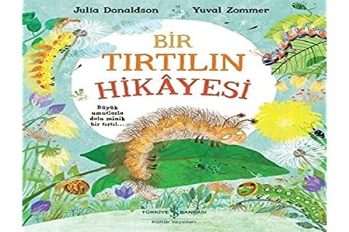 Bir Tirtilin Hikayesi