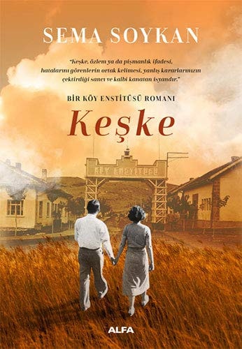 Keşke bir köy enstitüsü romanı
