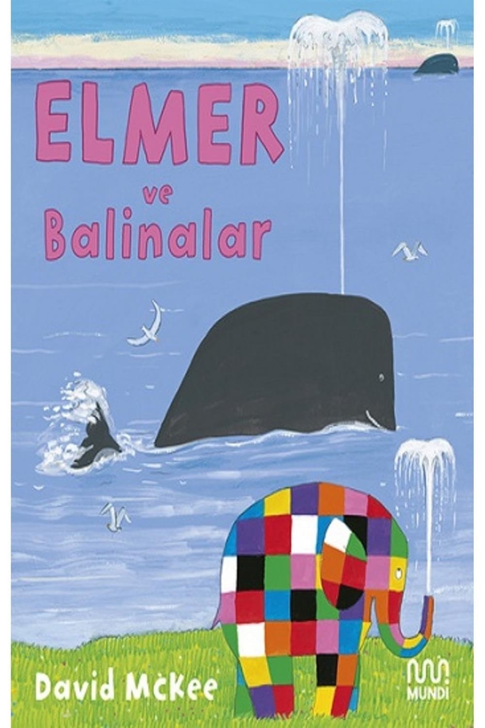 Elmer ve Balinalar