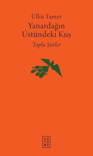 Yanardağın Üstündeki Kuş;Yanardağın Üstündeki Kuş