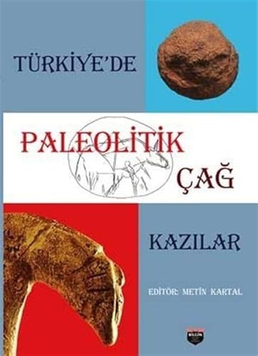 Türkiyeʼde paleolitik çağ kazılar