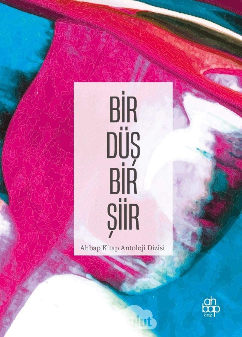 Bir Düs Bir Öykü