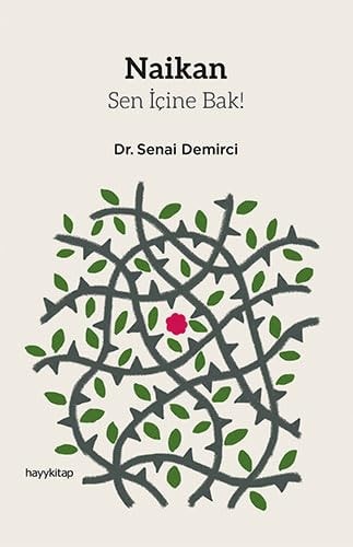 Naikan - Sen icine bak