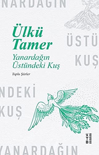 Yanardağın üstündeki kuş toplu şiirler