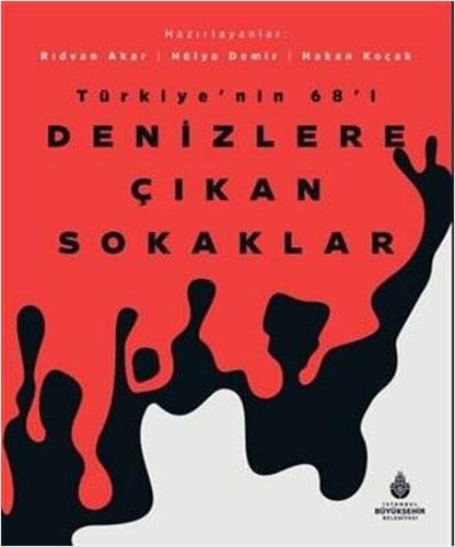Türkiye'nin 68'i denizlere çıkan sokaklar