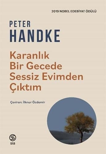 Karanlik Bir Gecede Sessiz Evimden Ciktim