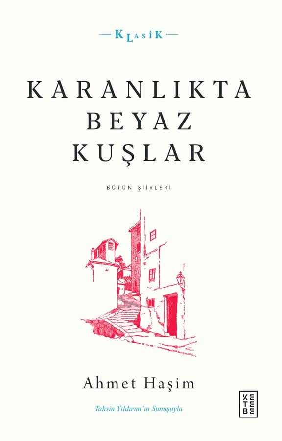 Karanlıkta beyaz kuşlar bütün şiirleri