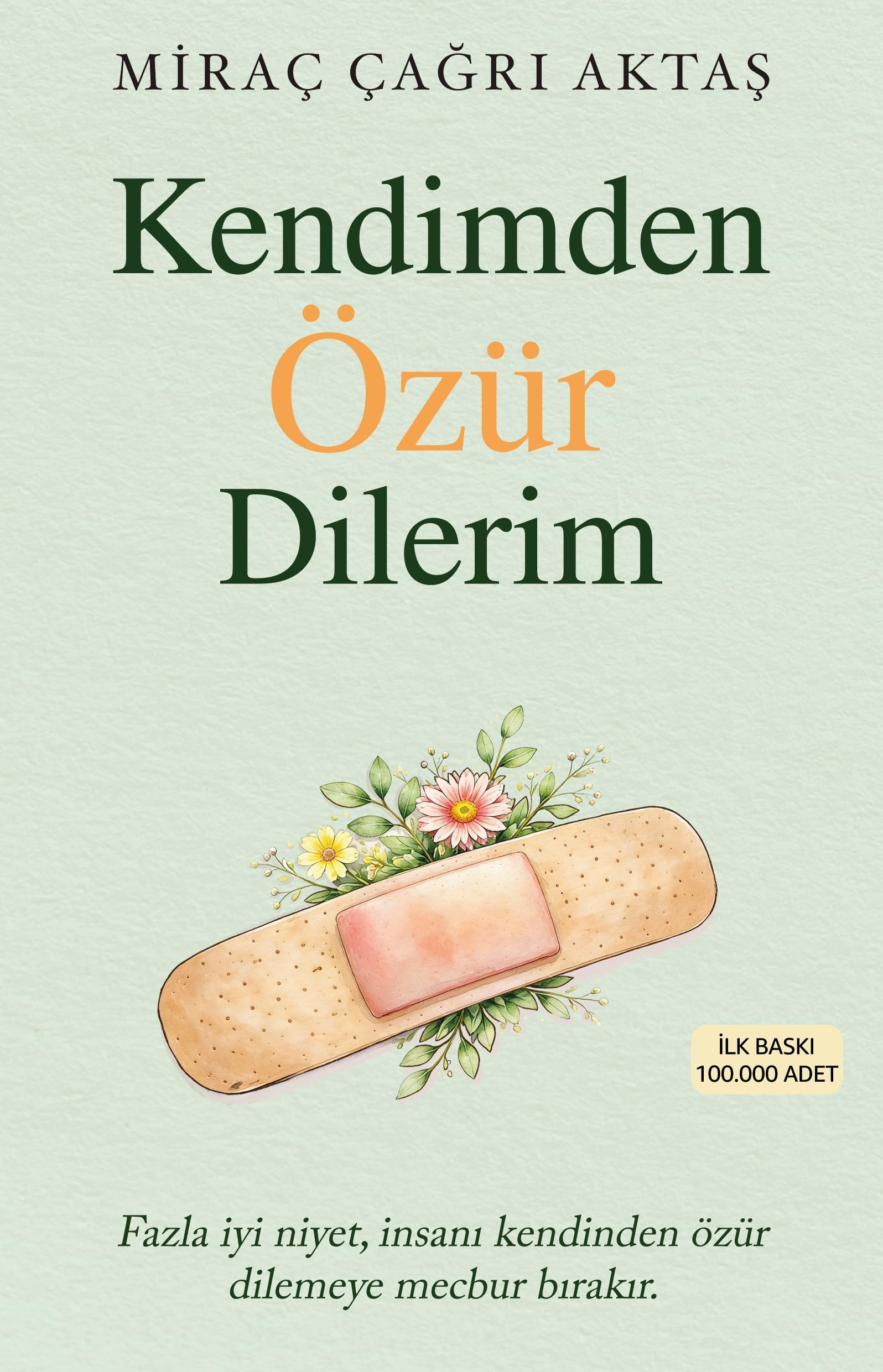 Miraç Çağrı Aktaş Kendimden Özür Dilerim, Turkish Book