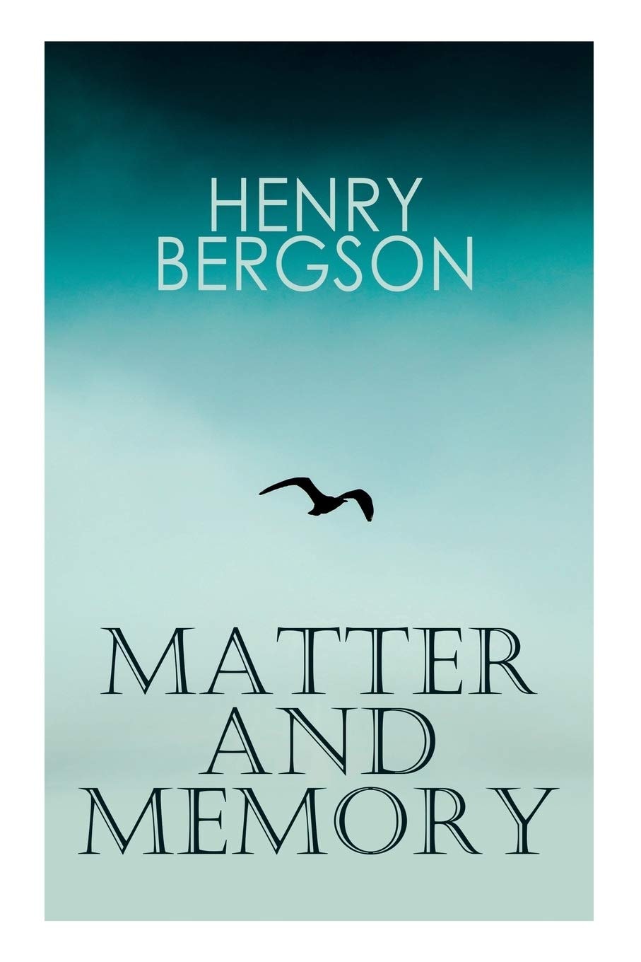 The Matter and Memory