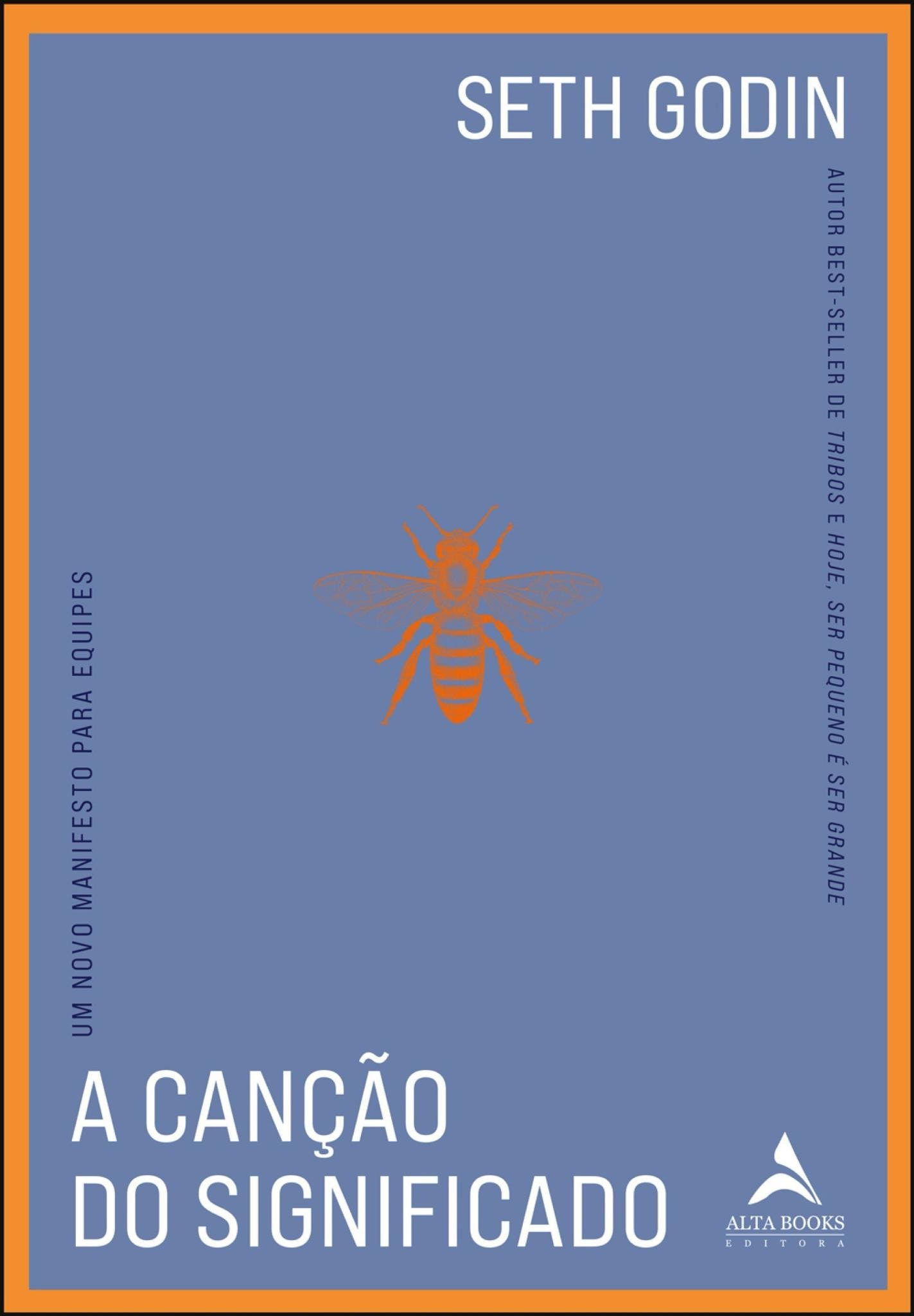 A canção do significado - um novo manifesto para equipes