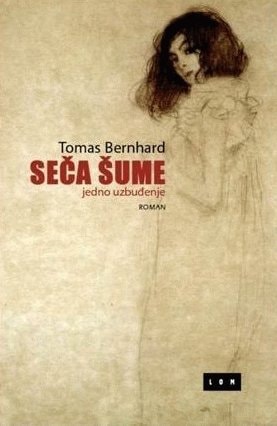 Seča šume