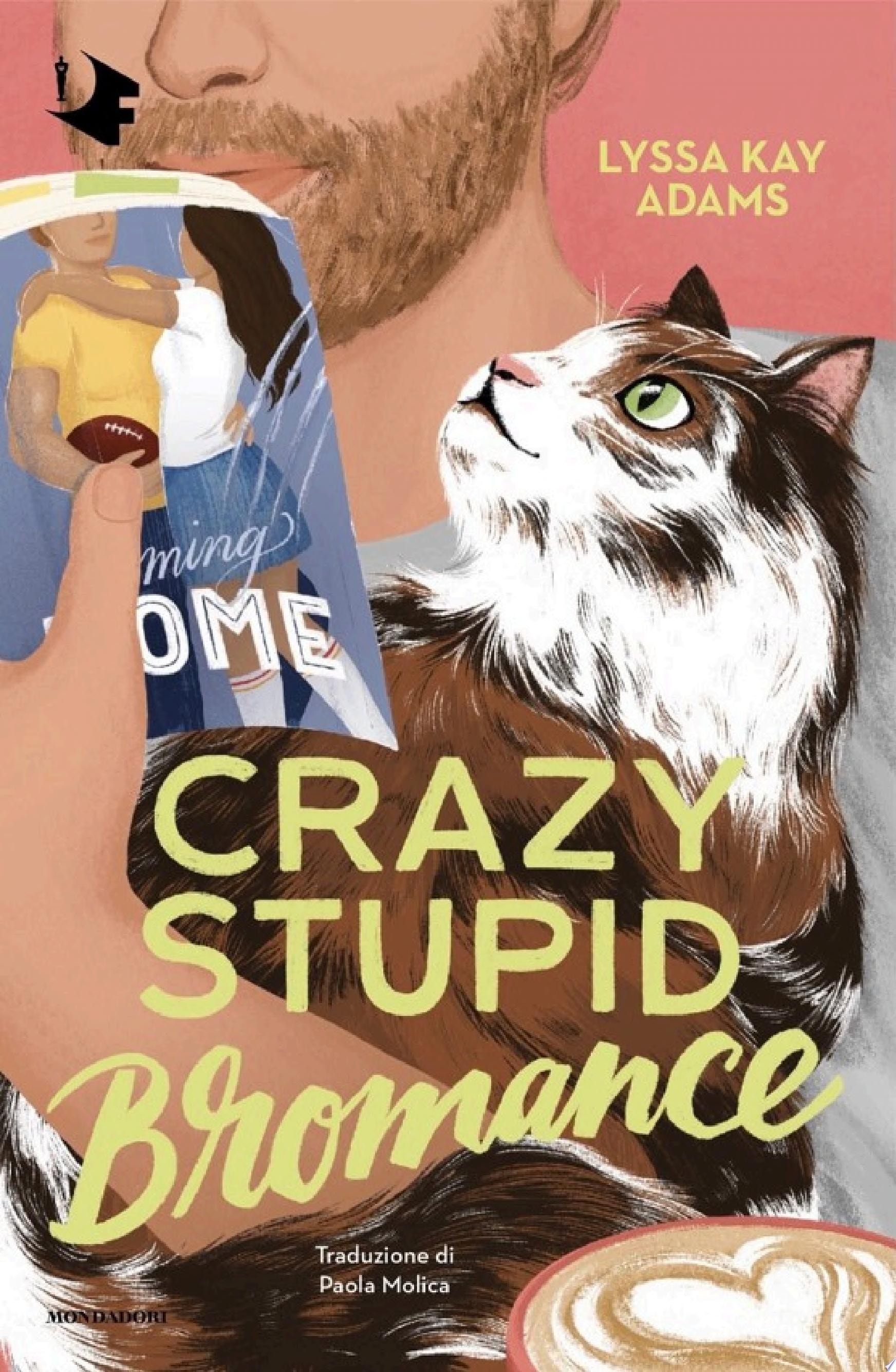 Crazy Stupid Bromance