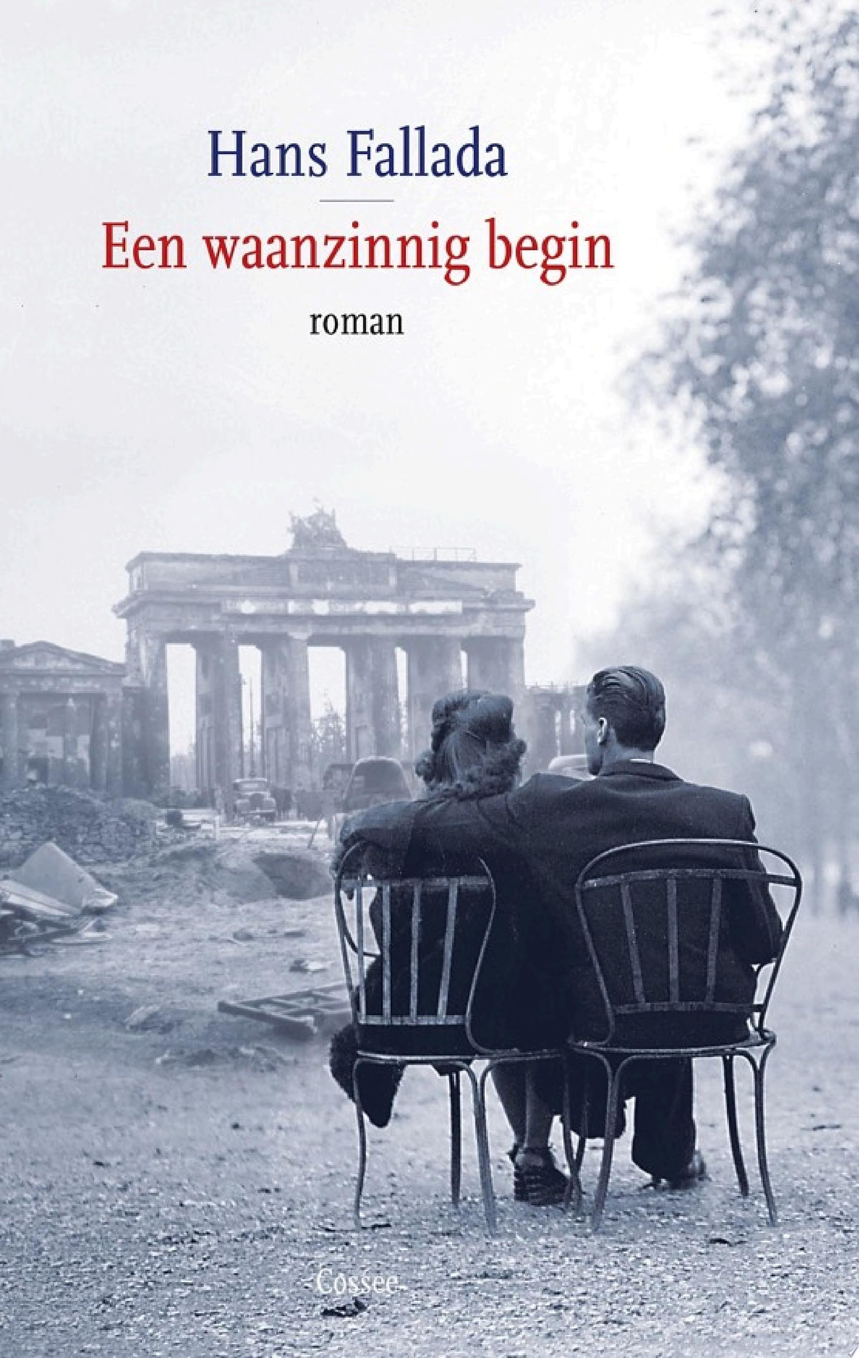 Een waanzinnig begin roman