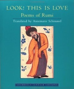 Look - This Is Love Poems Of Rumi [Hardcover] [Jan 01, 2003] Annmarie Schimmel