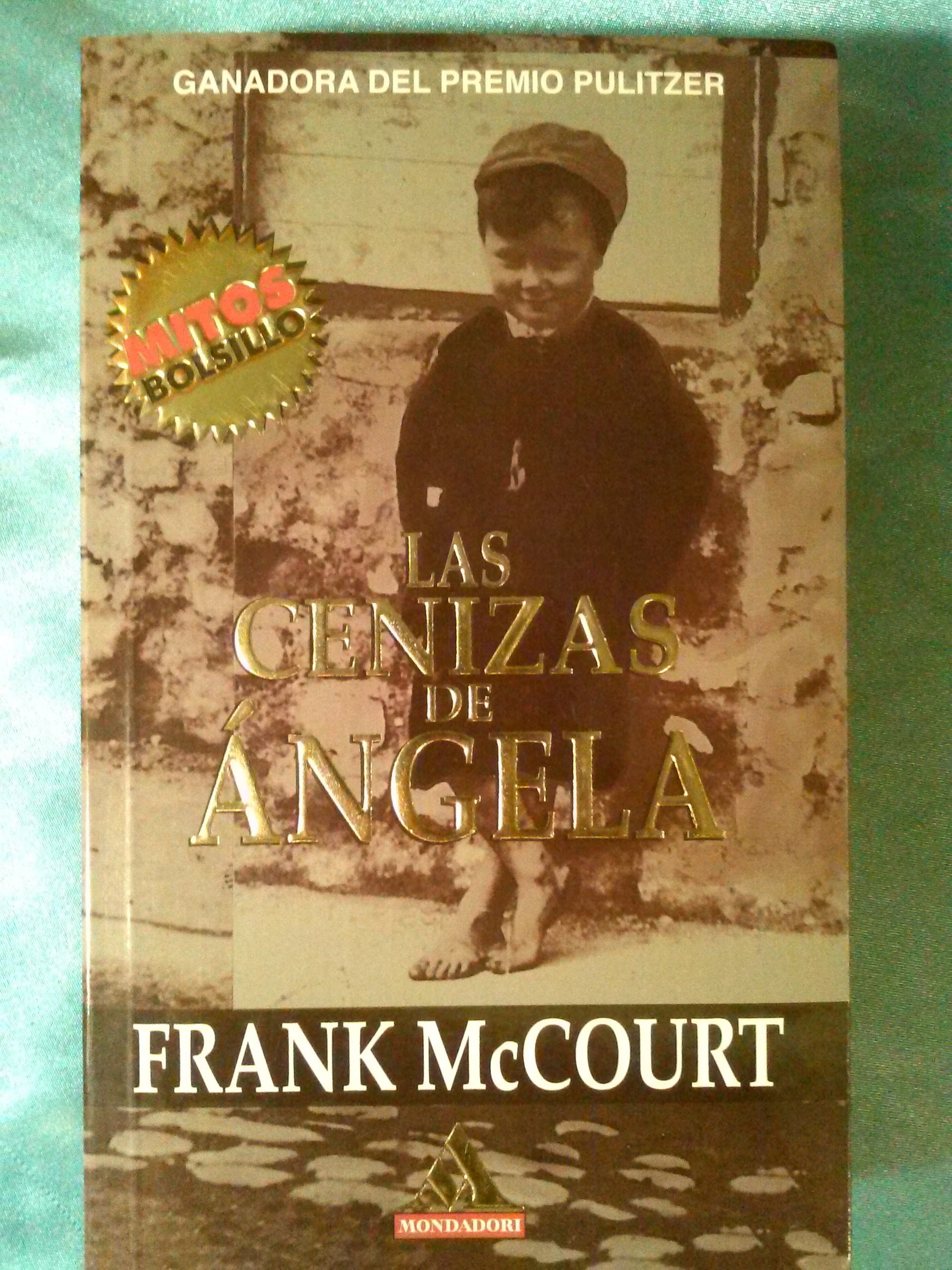 Las Cenizas De Angela (angela's Ashes)