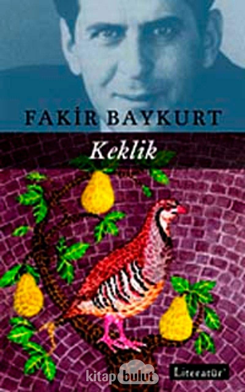 Keklik roman
