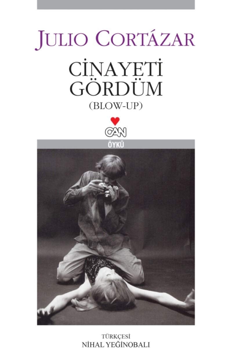 Cinayeti Gördüm (Blow-up) : Öykü
