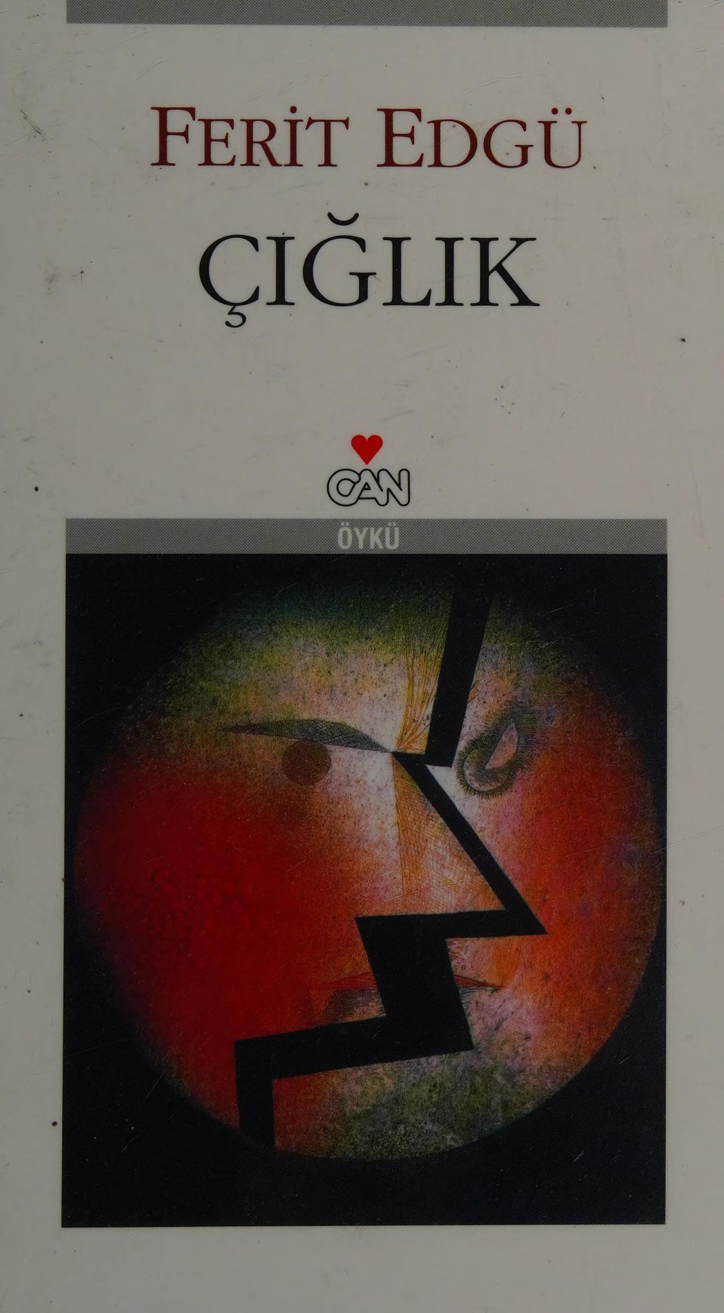 Çığlık öyküler, 1981-1982