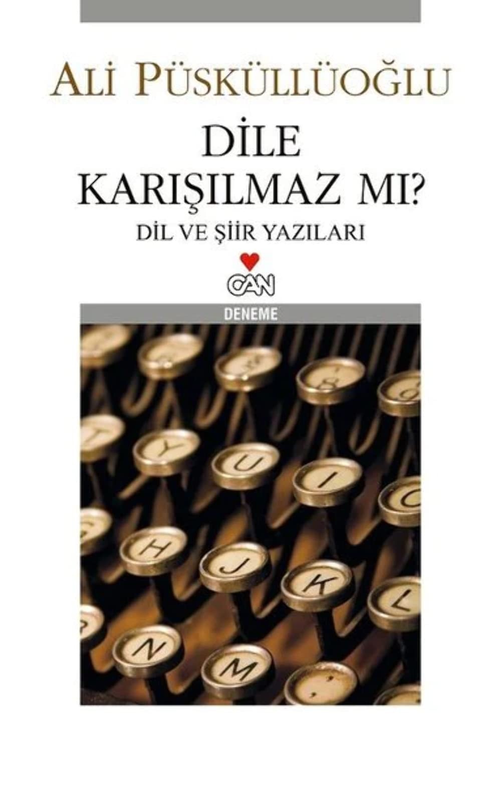 Dile karışılmaz mı? dil ve şiir yazıları : deneme