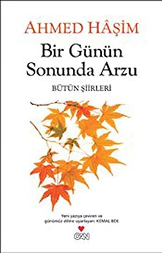 Bir günün sonunda arzu bütün şiirleri