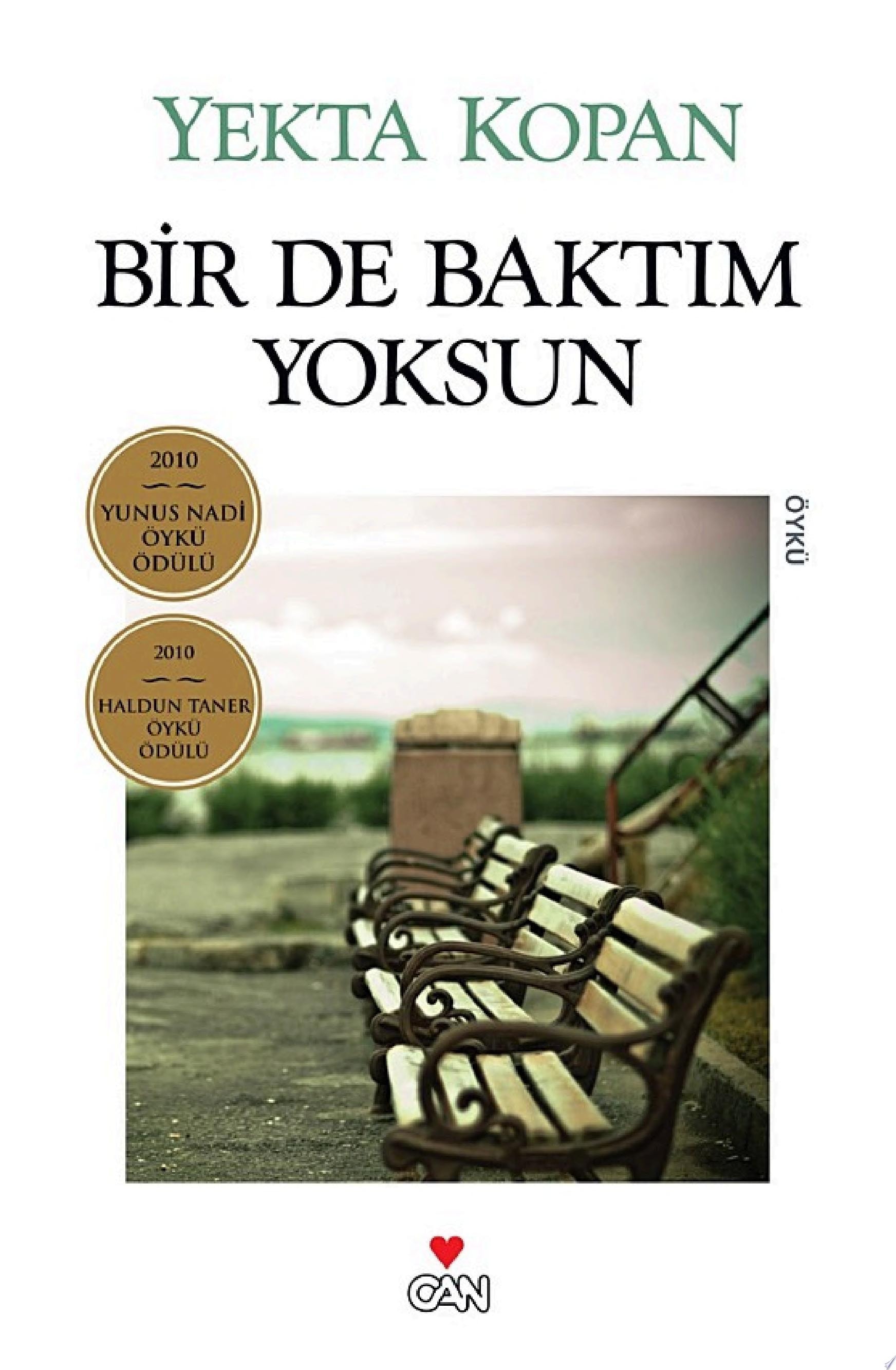 Bir de baktım yoksun öykü