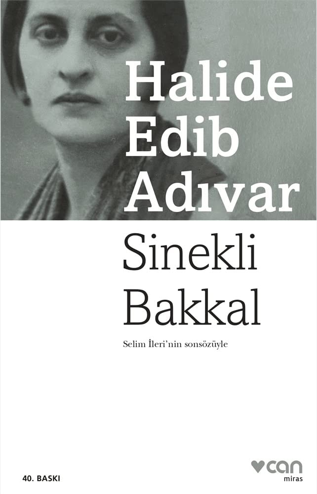 Sinekli Bakkal roman
