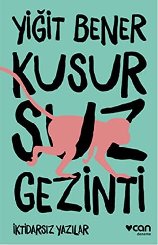 Kusursuz gezinti iktidarsız yazılar : deneme