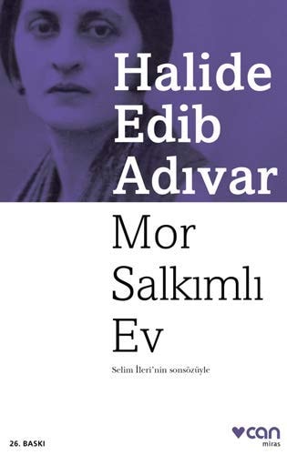 Mor Salkimli Ev