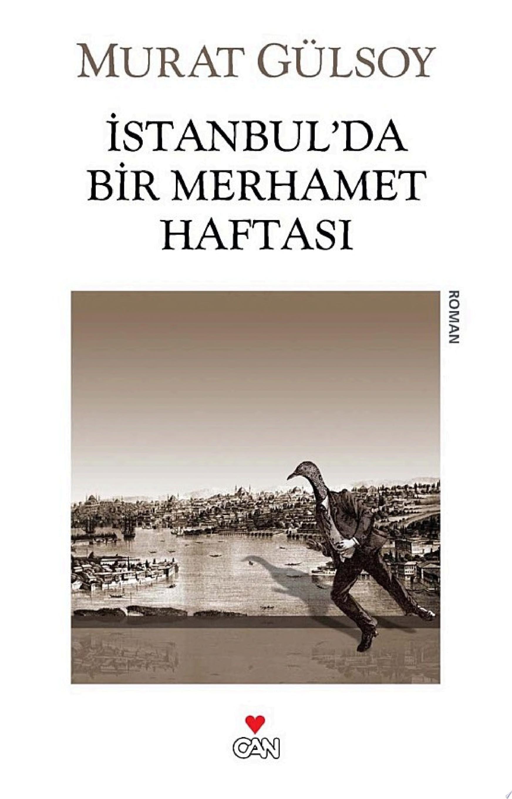 İstanbul'da bir merhamet haftası roman