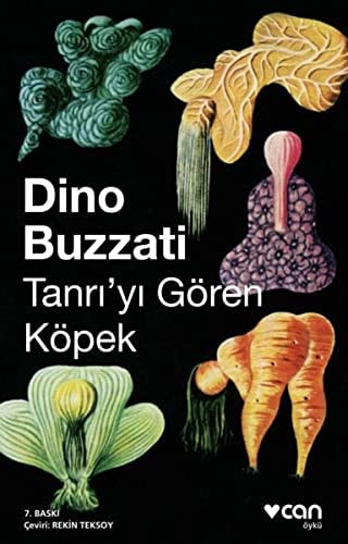 Tanrıyı gören köpek öyküler