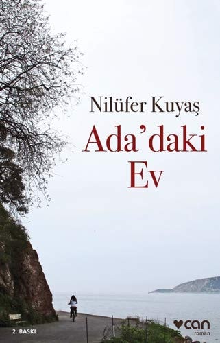 Ada'daki ev roman